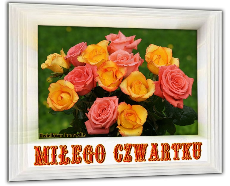 Kartka z różami miłego czwartku